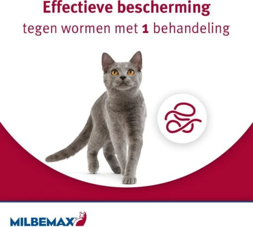 Elanco Milbemax Kitten & Kat - Anti Wormenmiddel - 2 Tab 0.5 Tot 2 Kg -Huisdier Verkoop 1200x1074 3