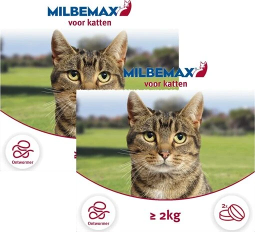 Elanco Milbemax Kat - Anti Wormenmiddel - 2 X 2 Tab 2-8kg -Huisdier Verkoop 1200x1091 10