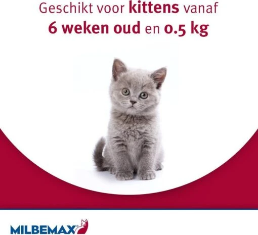 Elanco Milbemax Kitten & Kat - Anti Wormenmiddel - 2 Tab 0.5 Tot 2 Kg -Huisdier Verkoop 1200x1095 9