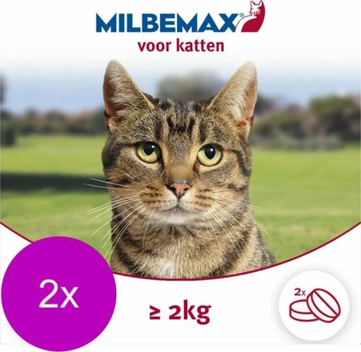 Elanco Milbemax Kat - Anti Wormenmiddel - 2 X 2 Tab 2-8kg -Huisdier Verkoop 1200x1171 5