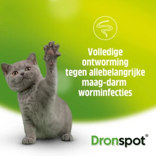 Dronspot Spot On Ontwormingsmiddel Voor Middelgrote Katten (2,5 Kg - 5 Kg) 2 Pipetten -Huisdier Verkoop 1200x1200 1821