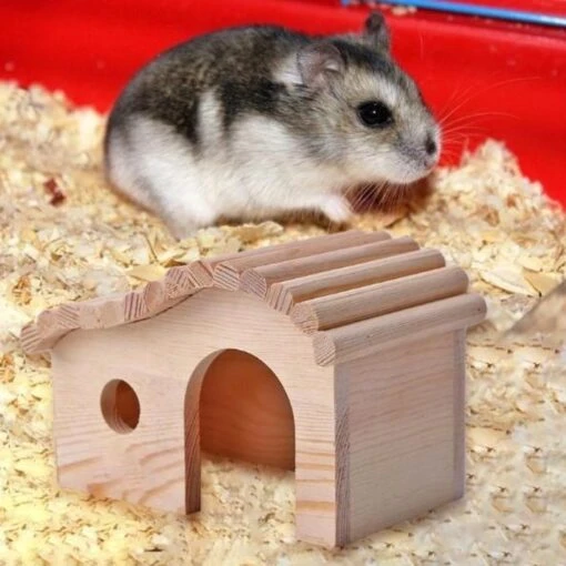 Merkloos Luxe Houten Huisje Voor Knaagdieren - Hamster Huisje Hout - Blokhut - Speelhuis - Knaagdierhuis - Muizenkooi / Hamsterkooi - 15 X 8 Cm -Huisdier Verkoop 1200x1200 2667