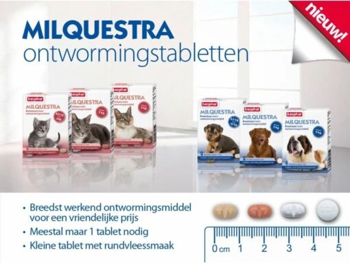 Beaphar Milquestra Kleine Kat/kitten - 0,5 Tot 4 Kg - 2 Tabletten -Huisdier Verkoop 1200x904 13