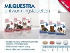 Beaphar Milquestra Ontworming Tabletten Kat 2 - 12 Kg 4 Tabletten -Huisdier Verkoop 1200x904 14