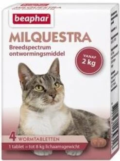 Beaphar Milquestra Kleine Kat/kitten - 0,5 Tot 4 Kg - 2 Tabletten -Huisdier Verkoop 893x1200 3