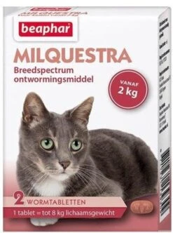 Beaphar Milquestra Kleine Kat/kitten - 0,5 Tot 4 Kg - 2 Tabletten -Huisdier Verkoop 894x1200 3